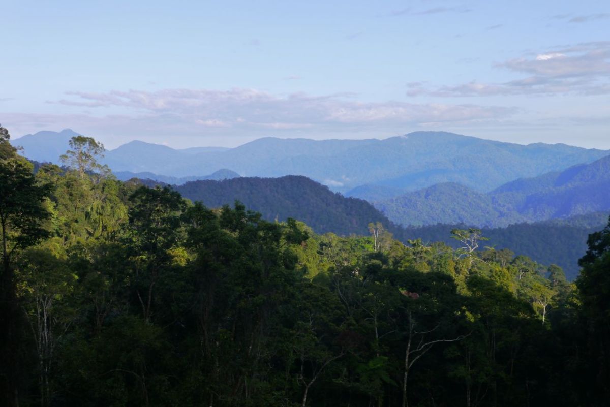 View of jungle and hills