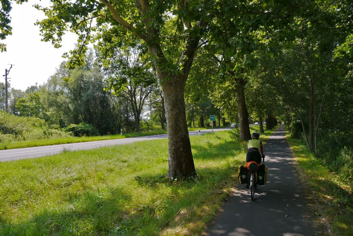Bike path around Lake Balaton.