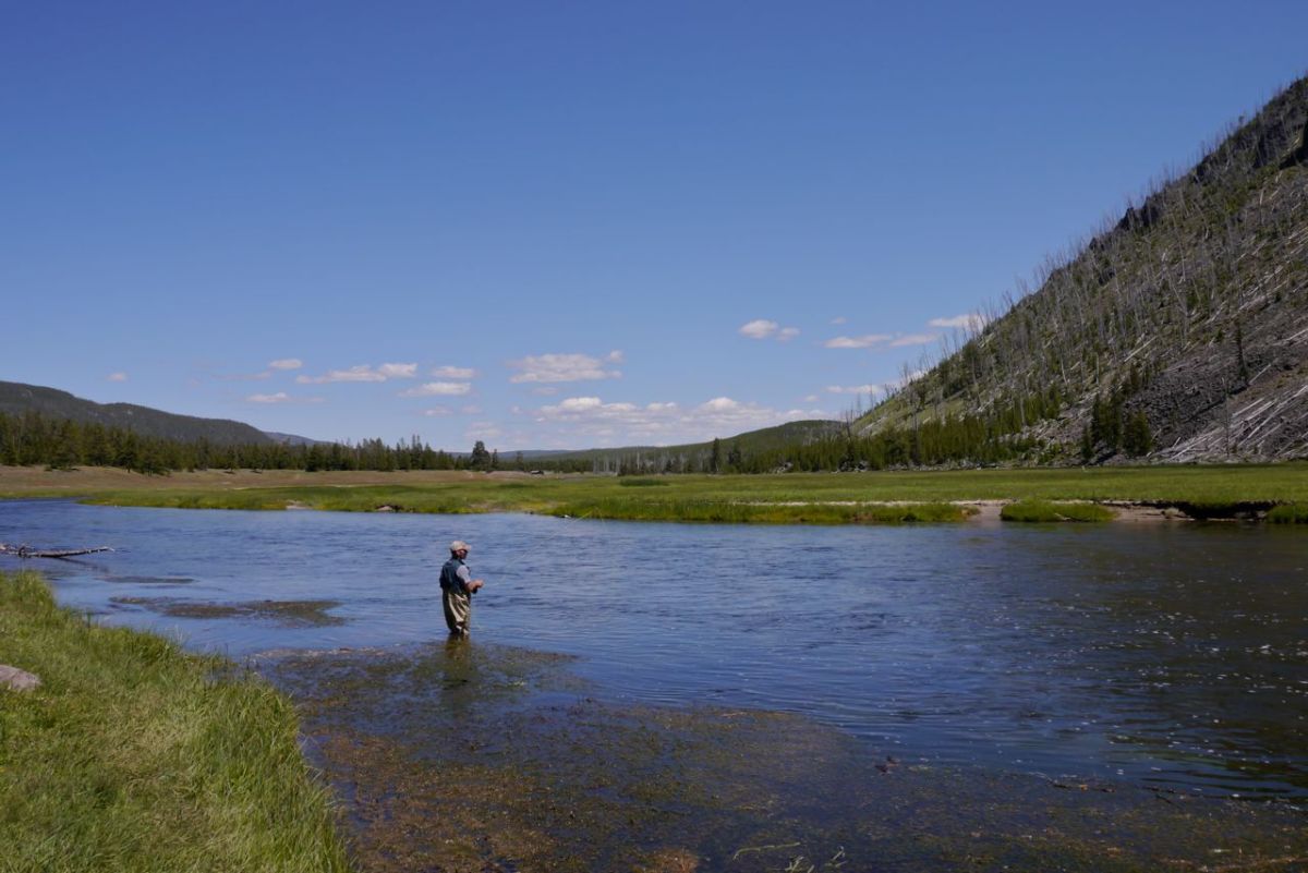 Angler, Yellowstone NP, WY.