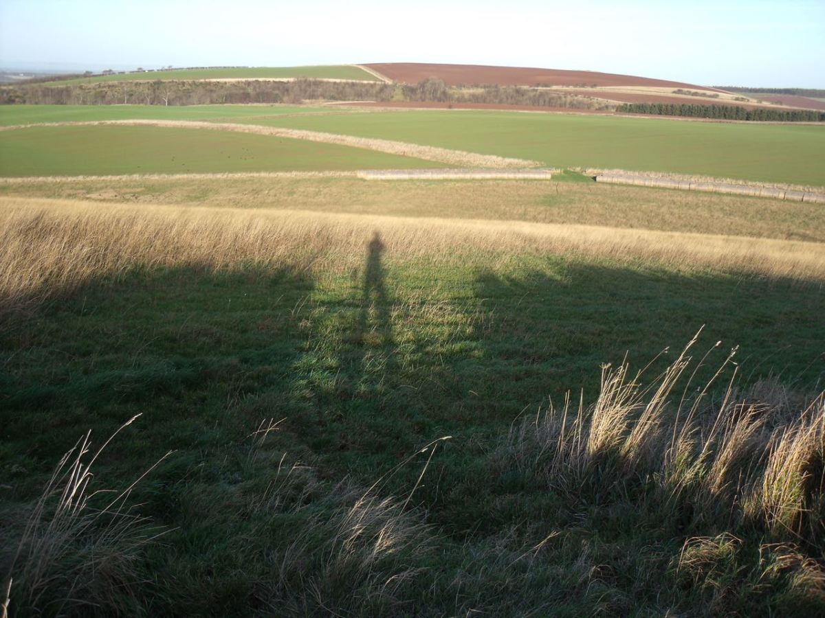 Grassy fields and ploughed fields, East Lothian.