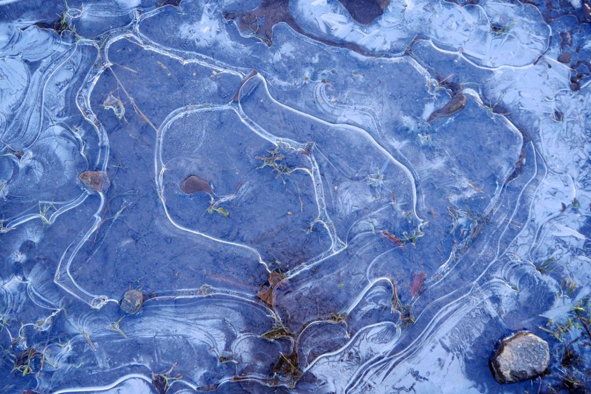 Ice on a puddle.